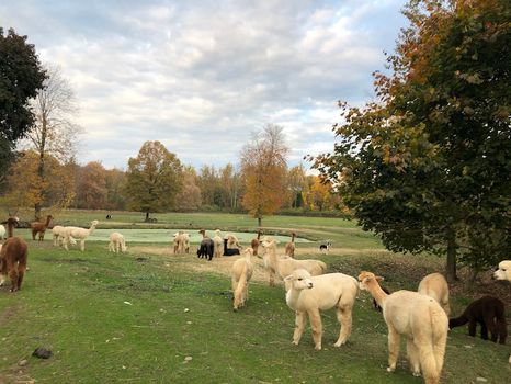 Branchville, NJ Vacation Rentals and Airbnb cozycozy