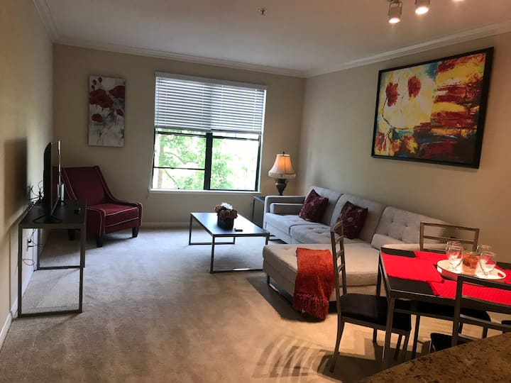 Luxury/cozy apartment. No corona - Lake Forest, CA