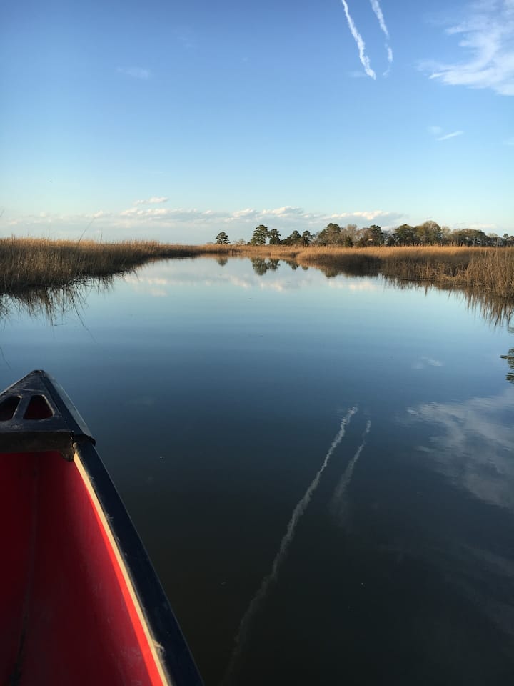 Cozy Waterside Retreat/Birdwatchin/Canoeing/Dining - Carrollton, VA
