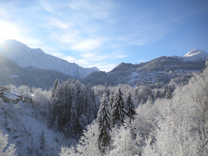 Séjour nature et liberté face chaine du Mt-Blanc - Passy