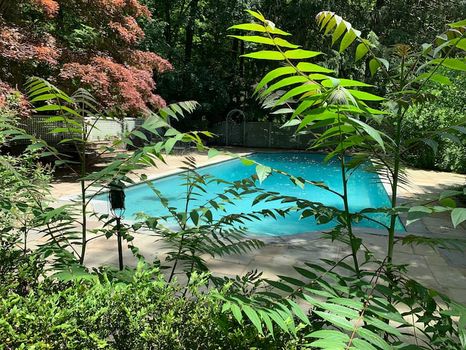 Yorktown, NY Vacation Rentals and Airbnb cozycozy