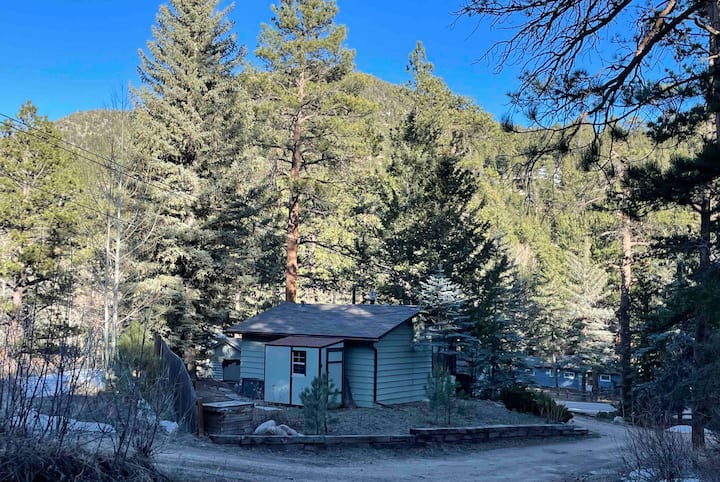 Wild Bear Cabin, Estes Park Co - Colorado