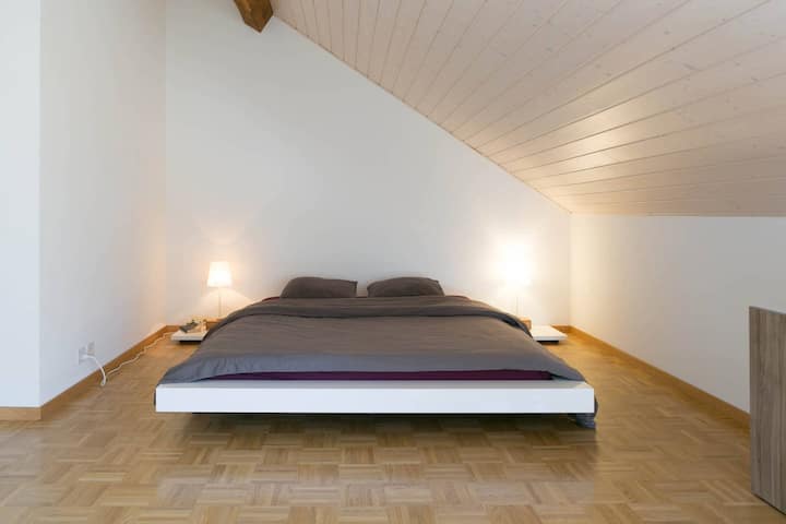 Centre : Grande chambre dans un attique - Genève