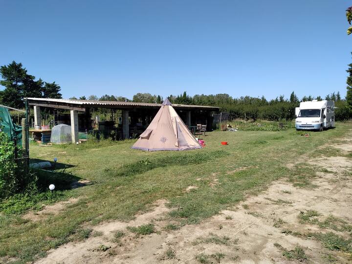 Terrain des Vergers pour tente et camping car - Beaucaire