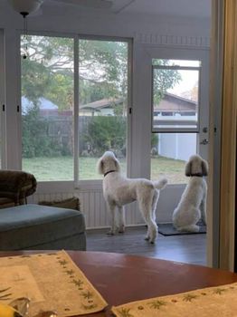 1214 Englewood, FL Short Term and Weekly Rentals cozycozy