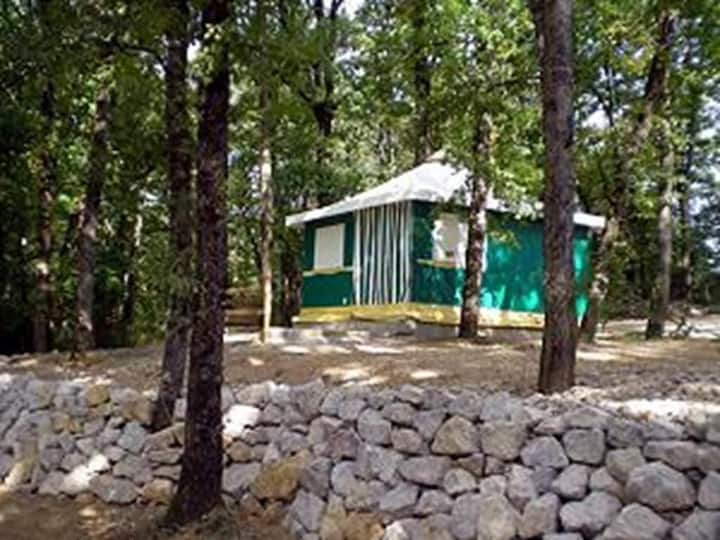 bungalow toilé sans sanitaire  camping vert -calme - Montricoux