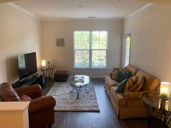 Luxurious and spacious apartment with office - Frederick, MD