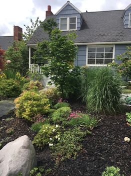 Windermere Seattle All Lodging & COZYCOZY