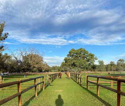 Perth Chalet Rentals Find the Best Deals on cozycozy