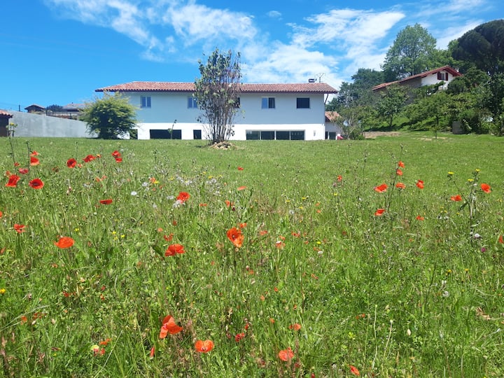 Magnifique Villa Avec Piscine Au Calme - Saint-Jean-de-Luz