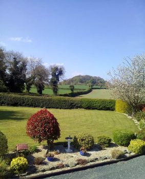 Athy Apartments and Condos For Rent cozycozy