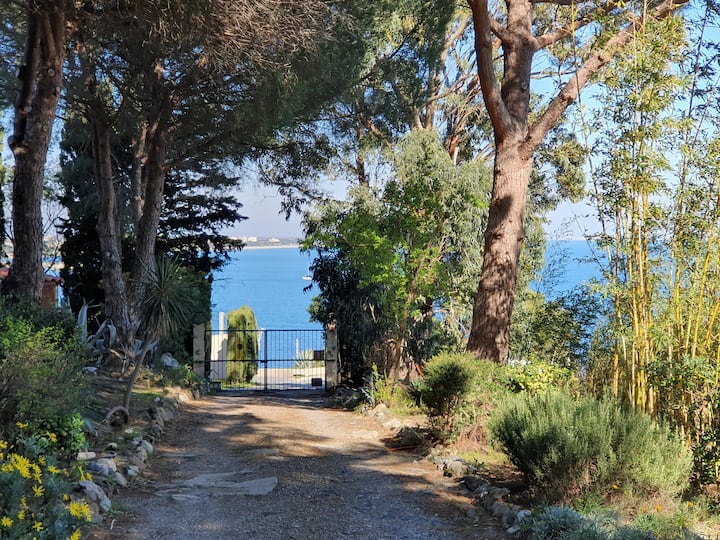 Gîte en bord de mer au sein d'une oliveraie bio - Collioure