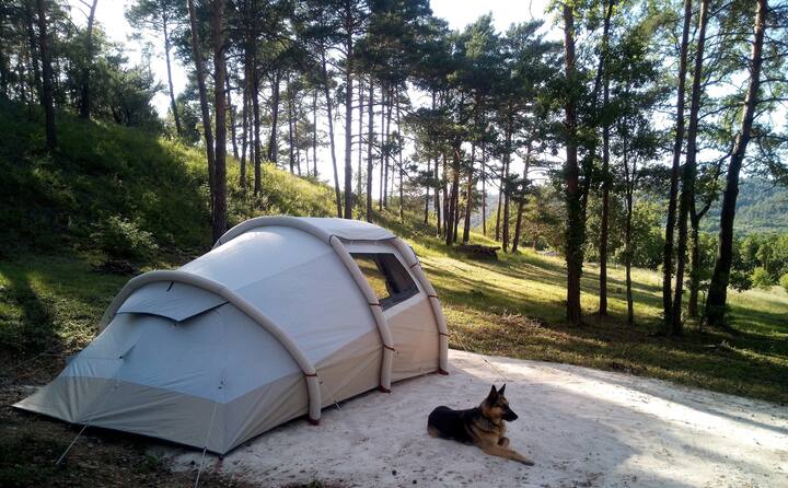 Forest Camp Ou L'essence Du Camping Nature - Esparron-de-Verdon