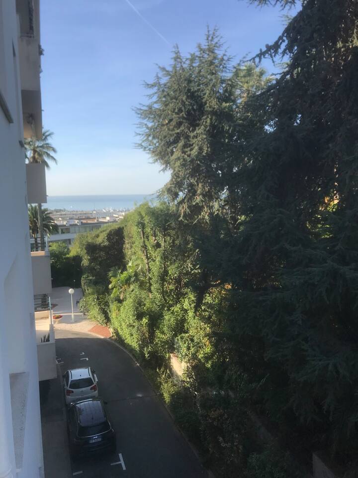 Une Chambre Privée Dans Un Appartement Californie - Cannes
