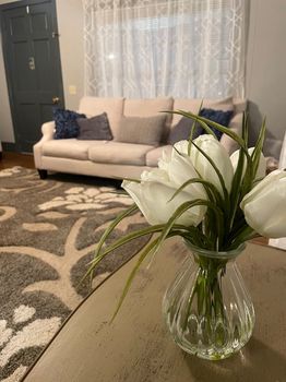 Oneonta, AL Holiday Apartments and Self Catering cozycozy