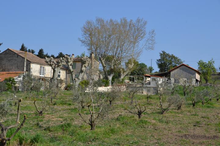 Jas du mas des platanes - Arles