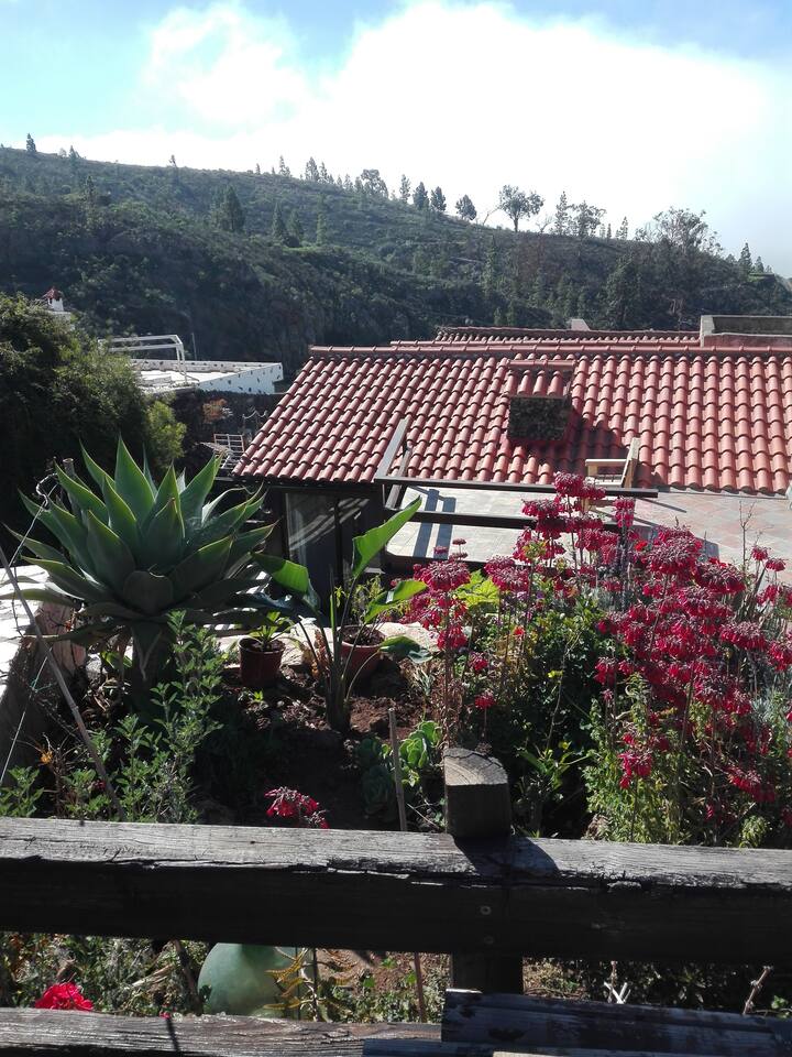 Casa Rustica Hasta Máximo 6 Personas - Santa Cruz de Tenerife