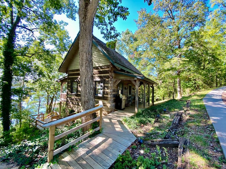 Luxury Log Cabin and 40 Acres on Douglas Lake - Douglas Lake
