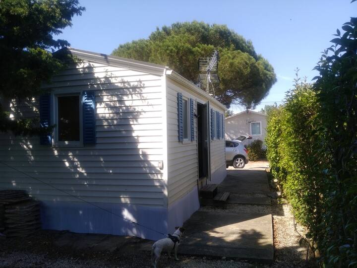 Mobil-Home, 2 ch., 5 mn plages, libre >28/08 - Cabestany