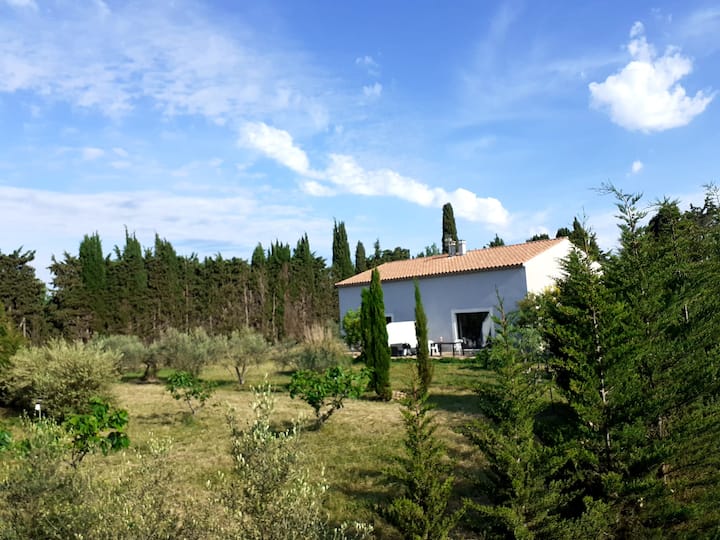 Villa récente dans OLIVERAIE BIO Provence Alpilles - Saint-Martin-de-Crau