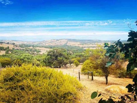 Toodyay Holiday Rentals and Airbnb cozycozy