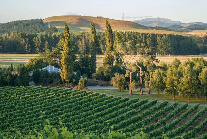 Opihi Vineyard Guest Accommodation - Pleasant Point