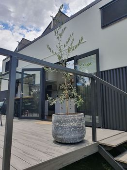 Tumut Vacation Rentals and Airbnb cozycozy