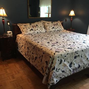 Lake Robinson, SC airbnb, hotels and vacation rentals