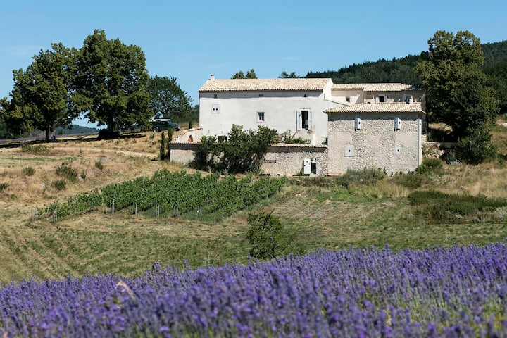 Grande Bastide Provencale - Alpes-de-Haute-Provence