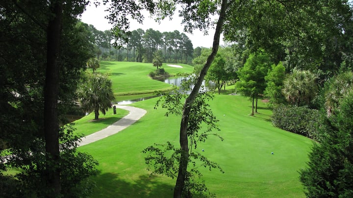 Golf Condo, Location  , View ,  Parking , Price .! - South Carolina