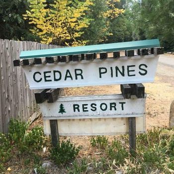 Dunsmuir Cabins Best prices on cozycozy