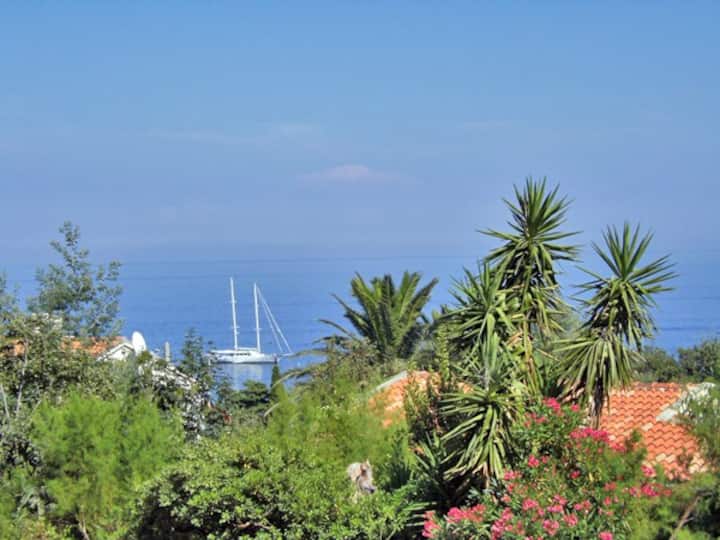 Appartement De Charme - Cap Corse