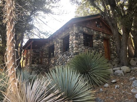 Mount Baldy, CA Cabins at the Best Price cozycozy