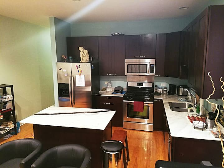 Spacious And Very Bright 2bdr Loft Near Downtown - Chicago, IL