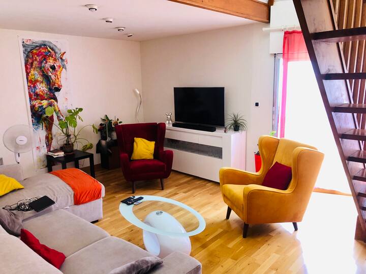 Nice flat / appartement in Tarbes close to Lourdes - Tarbes