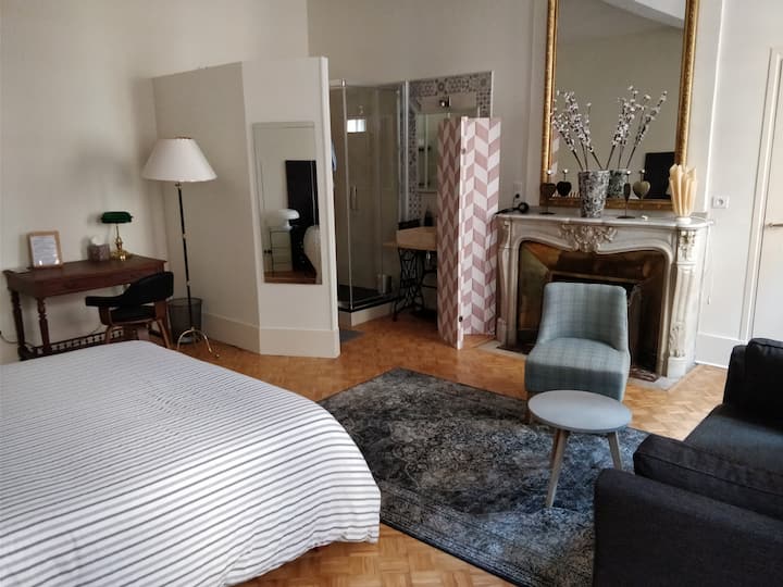Grande chambre dans  un hôtel particulier - Toulouse