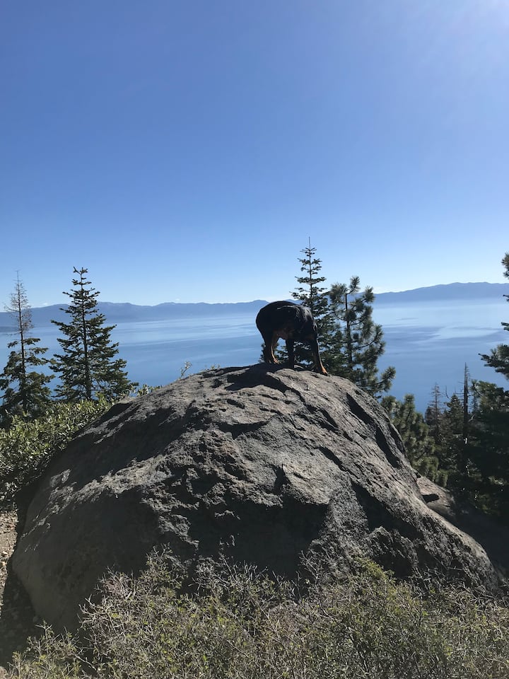 West shore suite - Lake Tahoe