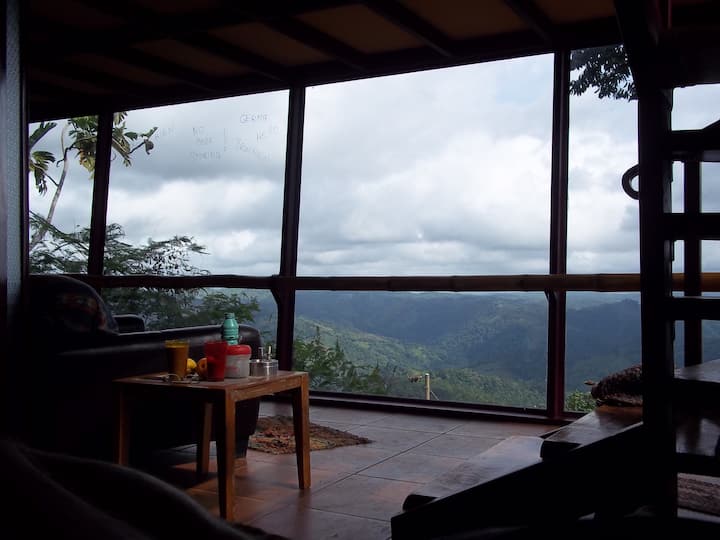 Birdhouse In The Sky,mountain Retre - Costa Rica