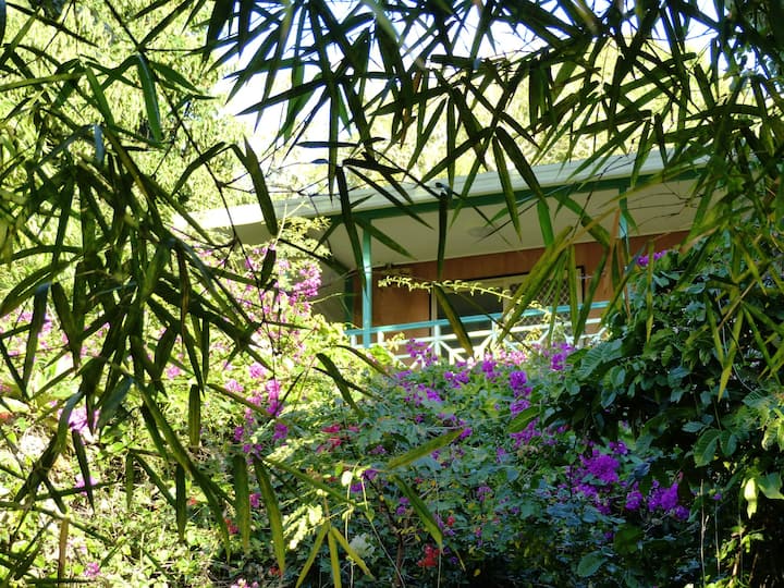 The Slope: Full Apartment In Lush Secluded Site - Tonga