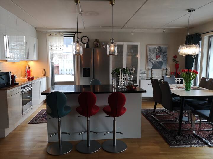 Spacious stylish penthouse :) - Oslo