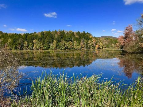 Cheshire, MA Vacation Rentals and Airbnb cozycozy