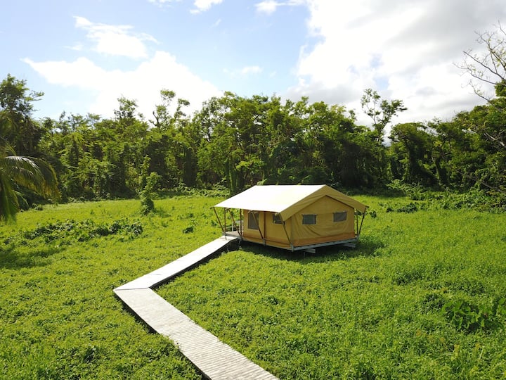 safari tent lodge - Guadeloupe