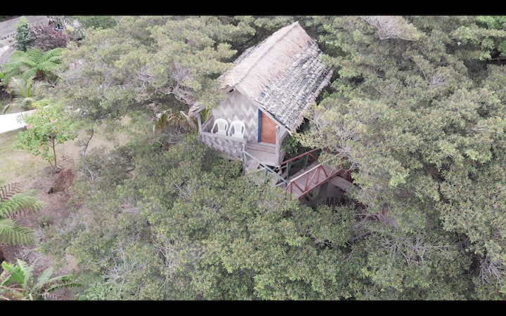 Island Vision Tree Lodge - Vanuatu