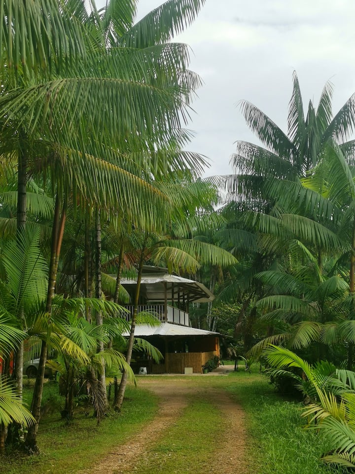 Grande Maison Carbet Avec Piscine Route De L'est - Guyane française