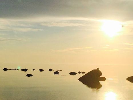 Old Saybrook, CT Holiday Apartments and Self Catering cozycozy