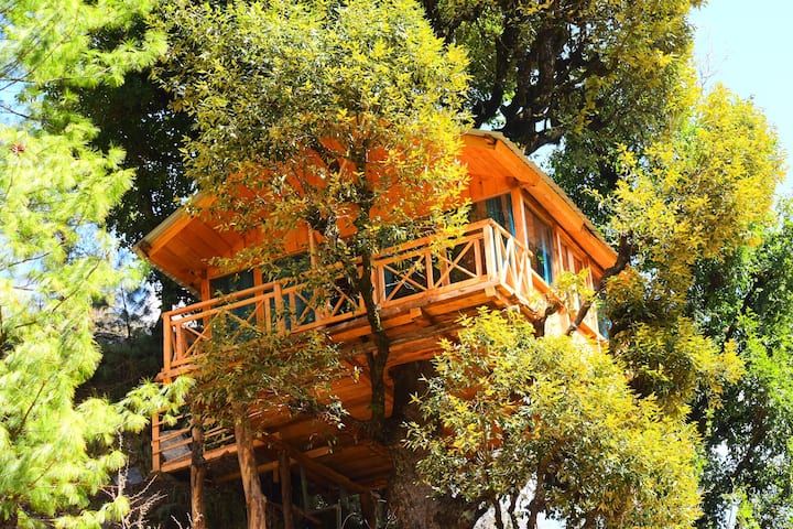 Whispering Pines Cottages| Treehut| Tandi - India