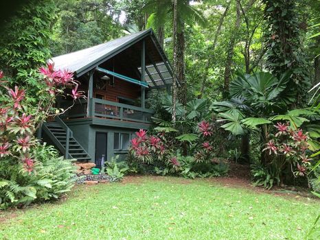Daintree Holiday homes and Villas cozycozy