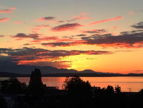 Bainbridge Island, WA Vacation Rentals and Airbnb cozycozy