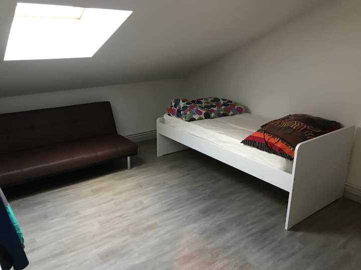 Chambre dans logement partagée 
Quartier Gerland - Parc de Gerland - Lyon