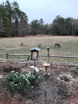 New Bedford Vacation Rentals and Airbnb cozycozy